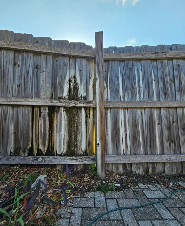 Customer Bogue Pressure Washing Before - fence wood clean