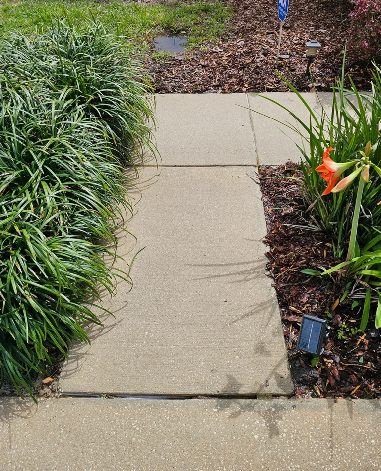 Customer Boguepressurewashing After - Garden Cleaning Pressure Washing