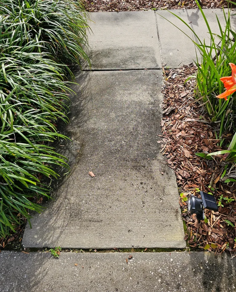 Customer Boguepressurewashing Before - Garden Cleaning Pressure Washing